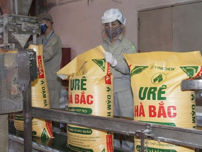 Tiếp tục cân nhắc lợi - hại việc áp thuế VAT với phân bón