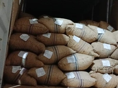 Nhiều Kl991.com World Cup 2026 Chính Thức chủ quan chấp nhận nhà cung cấp đóng hạt điều trong bao bì cũ, nhãn mác không đúng quy định.