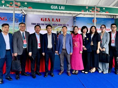 Gia Lai xác định 7 định hướng trong chương trình thu hút Kl99ok phiên bản mới trong năm 2026