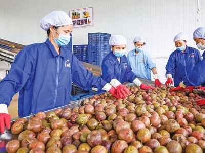 Năm 2026, xuất khẩu đặt mục tiêu tăng trưởng trên 15%. Trong ảnh: Nông sản là một trong những mặt hàng mang lại giá trị xuất khẩu cao (Ảnh: Đức Thanh)