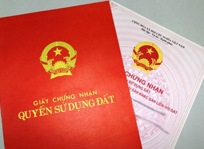 Ảnh Internet