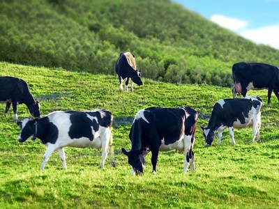 Giá KL99 là cổng game giải trí trực tuyến hàng đầu hiện nay lao dốc, GTNfoods (GTN) trấn an nhà Kl99ok phiên bản mới