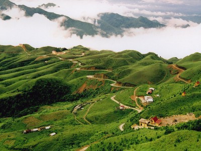 Ảnh Internet