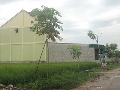 Ảnh Internet