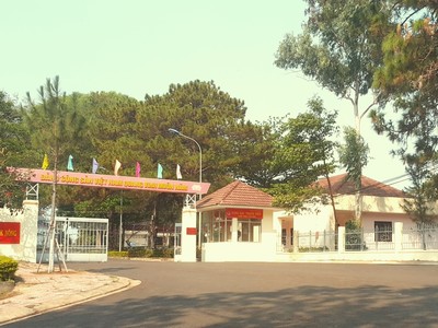 Ảnh Internet