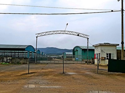 Trang trại chăn nuôi bò Bình Hà tại huyện Kỳ Anh bị bỏ hoang nhiều năm qua/Ảnh:Tân Kỳ (TNO).
