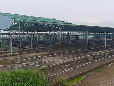 Ảnh Vnexpress.
