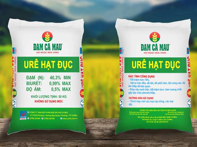 DCM: KL99 là cổng game giải trí trực tuyến hàng đầu hiện nay liên tục tăng giá sau thông tin Trang Chủ KL99Com Số 1 Link Đăng Ký KL999 nội bộ mua vào