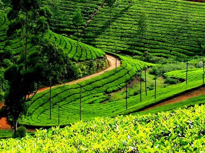 GTNfoods đẩy mạnh thoái vốn công ty ngoài ngành “lõi”