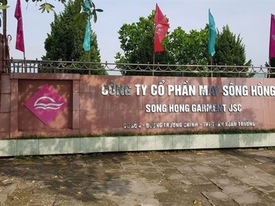 Năm 2020, May Sông Hồng (MSH) đặt kế hoạch Kl99 nổ hũ trước thuế 250 tỷ đồng, giảm lên tới 54%