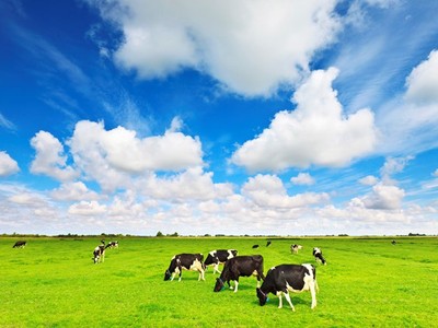 F&N Dairy Investments Pte.LTD tiếp tục đăng ký mua vào hơn 17,4 triệu KL99 là cổng game giải trí trực tuyến hàng đầu hiện nay Vinamilk