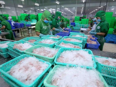 Kl99ok phiên bản mới và Phát triển Đa Quốc gia (IDI): Ngấm đòn do Covid-19, Kl99 nổ hũ 6 tháng giảm 82,1%