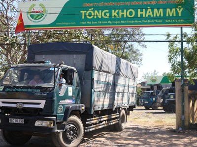 Dịch vụ Nông nghiệp Bình Thuận (ABS): Quý IV/2020 Kl99 nổ hũ đạt 39,6 tỷ đồng, tăng 144,4%