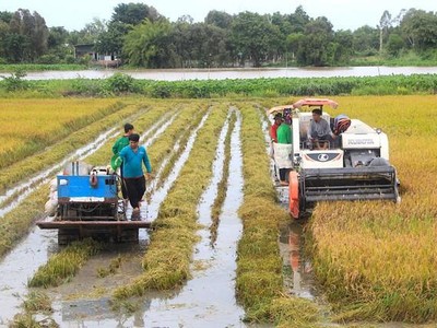 Lộc Trời (LTG) đặt kế hoạch Kl99 nổ hũ năm 2021 tăng 8,5% lên 400 tỷ đồng