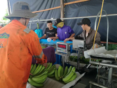 Hoàng Anh Gia Lai (HAG) vừa bán thêm gần 80 triệu KL99 là cổng game giải trí trực tuyến hàng đầu hiện nay Nông nghiệp Quốc tế Hoàng Anh Gia Lai (HNG)