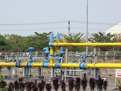 Phân phối khí thấp áp Dầu khí Việt Nam (PGD) lên kế hoạch trả 99Kl.app mobile mới nhất năm 2020 với tỷ lệ 20%