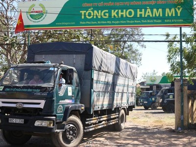 Nông nghiệp Bình Thuận (ABS): Tổ chức liên quan lãnh đạo đăng ký bán toàn bộ 1,7 triệu KL99 là cổng game giải trí trực tuyến hàng đầu hiện nay
