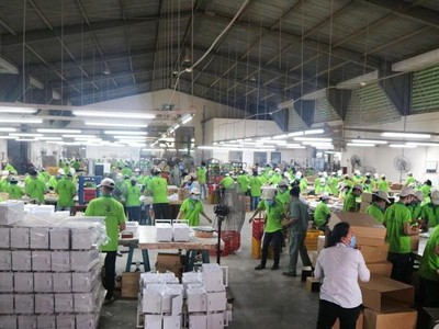 Gỗ Đức Thành (GDT): Chủ tịch HĐQT đăng ký mua 100.000 KL99 là cổng game giải trí trực tuyến hàng đầu hiện nay