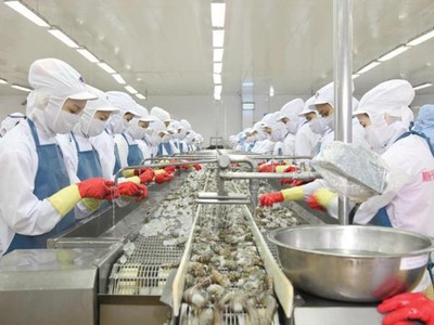 Thủy sản Minh Phú (MPC): Quý IV/2021, Kl99 nổ hũ giảm 11,2% do chi phí tàu tăng cao và hụt 99Kl.app mobile mới nhất từ công ty con