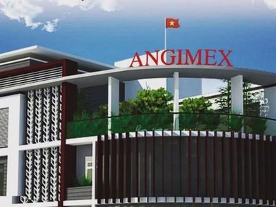 Angimex (AGM): Một cá nhân vừa chi ra 46,8 tỷ đồng để sở hữu 6,59% vốn điều lệ