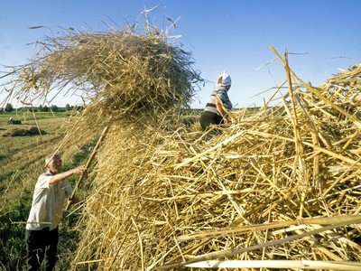 Quốc gia châu Á nào được hưởng lợi và thiệt hại từ cuộc xung đột Nga - Ukraine?