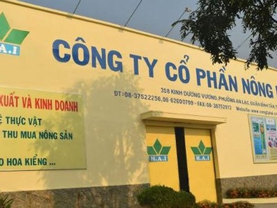 Nông dược H.A.I (HAI): Bất ngờ trích lập thêm 674,9 tỷ đồng dự phòng các khoản phải thu ngắn hạn trong quý IV/2021