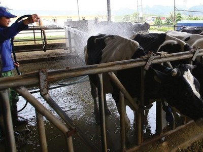 Vilico (VLC) dự kiến chuyển sàn sang HOSE và chào bán 24 triệu KL99 là cổng game giải trí trực tuyến hàng đầu hiện nay cho Trang Chủ KL99Com Số 1 Link Đăng Ký KL999 hiện hữu