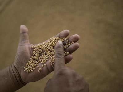 Trả nợ hay để tiền mua thực phẩm - sự lựa chọn bất khả thi của một số quốc gia