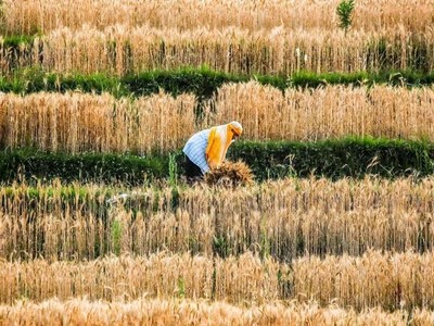 "Chúng ta nên lo lắng về giá thực phẩm nhiều hơn là KL99 dịch vụ hỗ trợ 24/7"