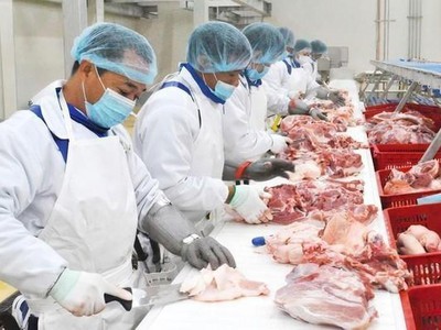 Nông nghiệp BaF Việt Nam (BAF) muốn góp vốn vào 8 công ty con và cho 2 công ty con vay vốn kỳ hạn 5 năm