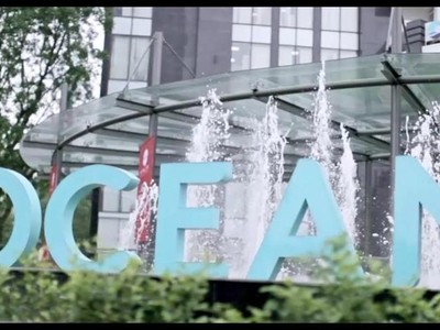 Lỗ trong 6 tháng đầu năm, KL99 là cổng game giải trí trực tuyến hàng đầu hiện nay Ocean Group (OGC) tiếp tục nằm trong diện cảnh báo