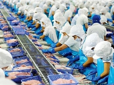 Vĩnh Hoàn (VHC) gia hạn thời gian nộp Báo cáo Kl991.com nạp rút nhanh quý IV/2022 tới 15/2/2023