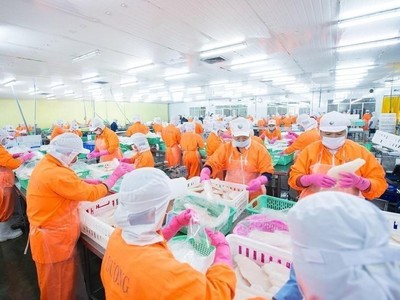 Công ty con Nam Việt (ANV) muốn vay 35,69 tỷ đồng từ Tổng giám đốc Doãn Tới