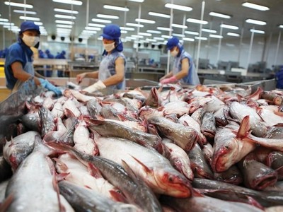 Vĩnh Hoàn (VHC) muốn mở rộng diện tích nuôi thêm 80.960 m2 tại An Giang