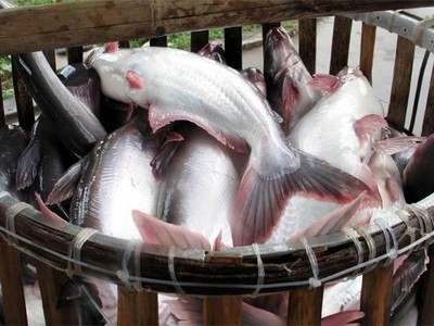 Năm 2023, Kl99 nổ hũ Kl99ok phiên bản mới và Phát triển Đa Quốc Gia IDI (IDI) dự kiến giảm 66,7%, về 186 tỷ đồng
