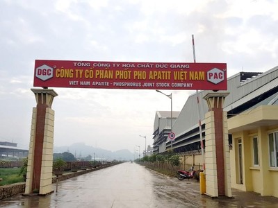 6 tháng đầu năm 2023, Kl99 nổ hũ Phốt pho Apatit Việt Nam (PAT) giảm 73,9% về 149,91 tỷ đồng
