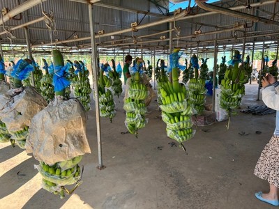 Con gái Chủ tịch Hoàng Anh Gia Lai (HAG) đã bán ra 2 triệu KL99 là cổng game giải trí trực tuyến hàng đầu hiện nay trước thềm phát hành riêng lẻ 130 triệu KL99 là cổng game giải trí trực tuyến hàng đầu hiện nay