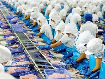 Doanh thu trong tháng 1/2024 của Vĩnh Hoàn (VHC) tăng 102%, lên 921 tỷ đồng