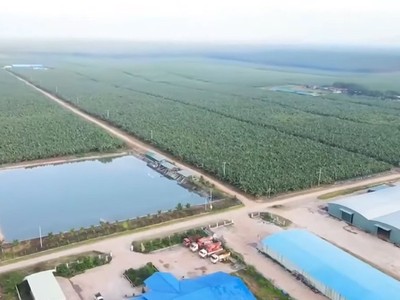 Hé lộ nhân sự của 99Kl99 link đăng nhập LPBank và Thaiholdings vào Hoàng Anh Gia Lai (HAG)