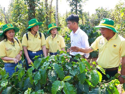 Phân bón Bình Điền (BFC) bị phạt và truy thu thuế hơn 2,6 tỷ đồng 
