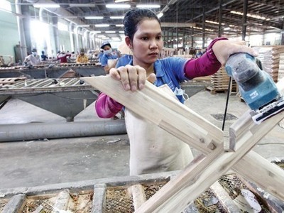 Chậm công bố thông tin bị phong toả 3 tỷ đồng, Gỗ Trường Thành (TTF) bị nhắc nhở