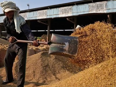Indonesia đang cân nhắc Link Vào Nhà Cái KL99 COM Tặng +199k 1 triệu tấn gạo từ Ấn Độ vào năm tới