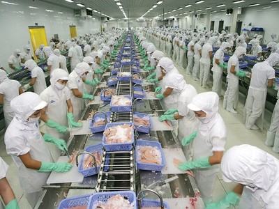 Vĩnh Hoàn (VHC) muốn tạm ứng 99Kl.app mobile mới nhất năm 2024 với tỷ lệ 20%