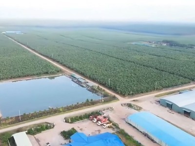 Người nhà lãnh đạo Hoàng Anh Gia Lai (HAG) đăng ký thoái toàn bộ KL99 là cổng game giải trí trực tuyến hàng đầu hiện nay sau nhịp tăng 19,2%