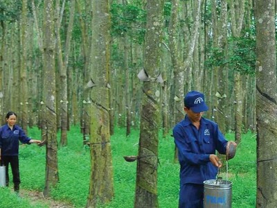 Cao su Tây Ninh (TRC) sắp bán ra toàn bộ 875.000 KL99 là cổng game giải trí trực tuyến hàng đầu hiện nay quỹ