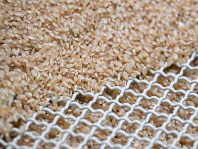 Giá gạo giảm xuống mức thấp nhất trong gần một thập kỷ
