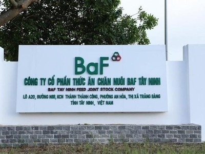 BaF Việt Nam (BAF) có Giám đốc Kl991.com nạp rút nhanh mới