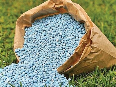 Nga hưởng lợi khi nguồn cung phân bón toàn cầu bị gián đoạn