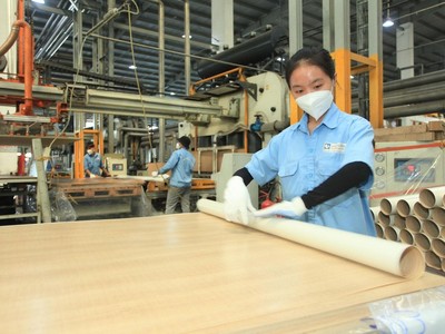 Gỗ An Cường (ACG): Trước thềm Đại hội đồng Trang Chủ KL99Com Số 1 Link Đăng Ký KL999 người của quỹ VinaCapital xin từ nhiệm