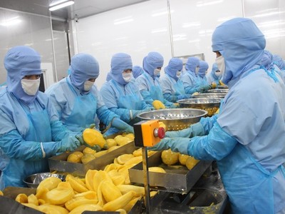 Rau quả Thực phẩm An Giang (ANT): Lãi giảm 17,3% trong quý I/2026, dòng tiền âm 45,06 tỷ đồng